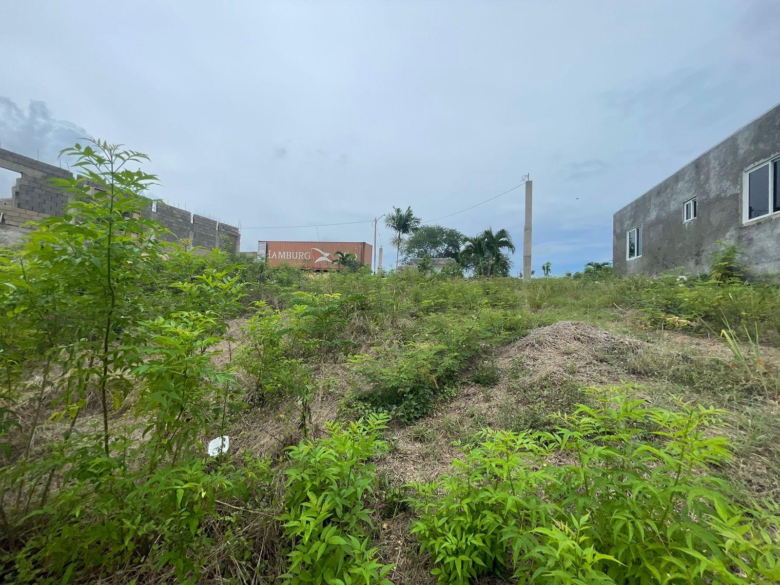 Fourth image of Lot 13 River Ridge Estate in Chateau, Clarendon, Jamaica - property is For Sale