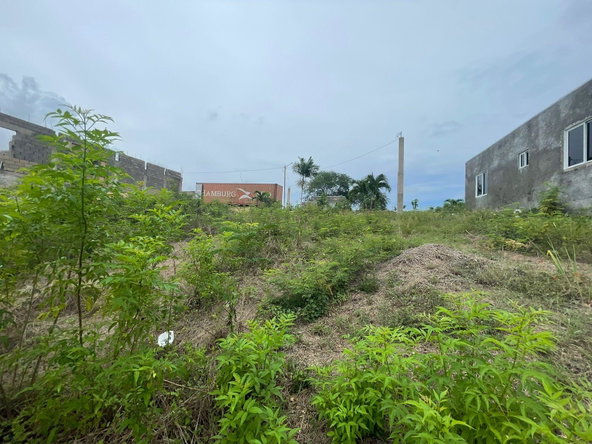 Fourth image of Lot 13 River Ridge Estate in Chateau, Clarendon, Jamaica - property is For Sale