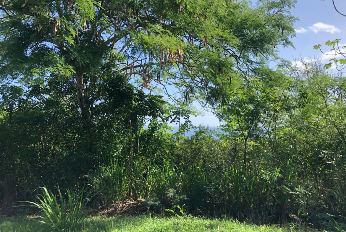 Sixth image of Lot 7- West Indies Estate in Montego Bay, St. James, Jamaica - property is For Sale