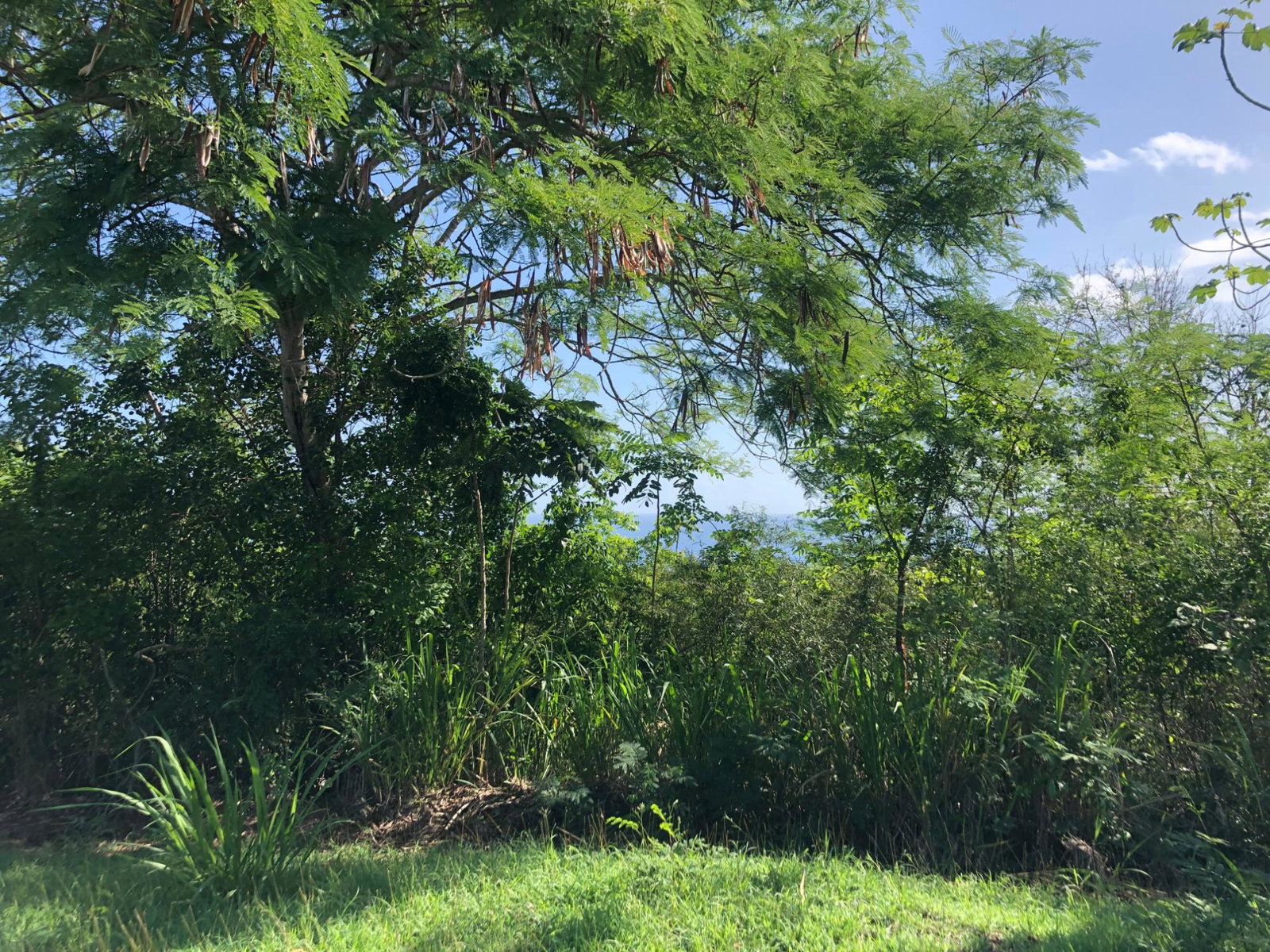 Exclusive-Residential-Lot-for-Sale-in-West-Indies-Estate-Jamaica Sixth image of Lot 7- West Indies Estate in Montego Bay, St. James, Jamaica - property is For Sale