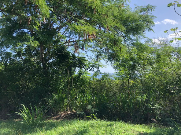 Sixth image of Lot 7- West Indies Estate in Montego Bay, St. James, Jamaica - property is For Sale