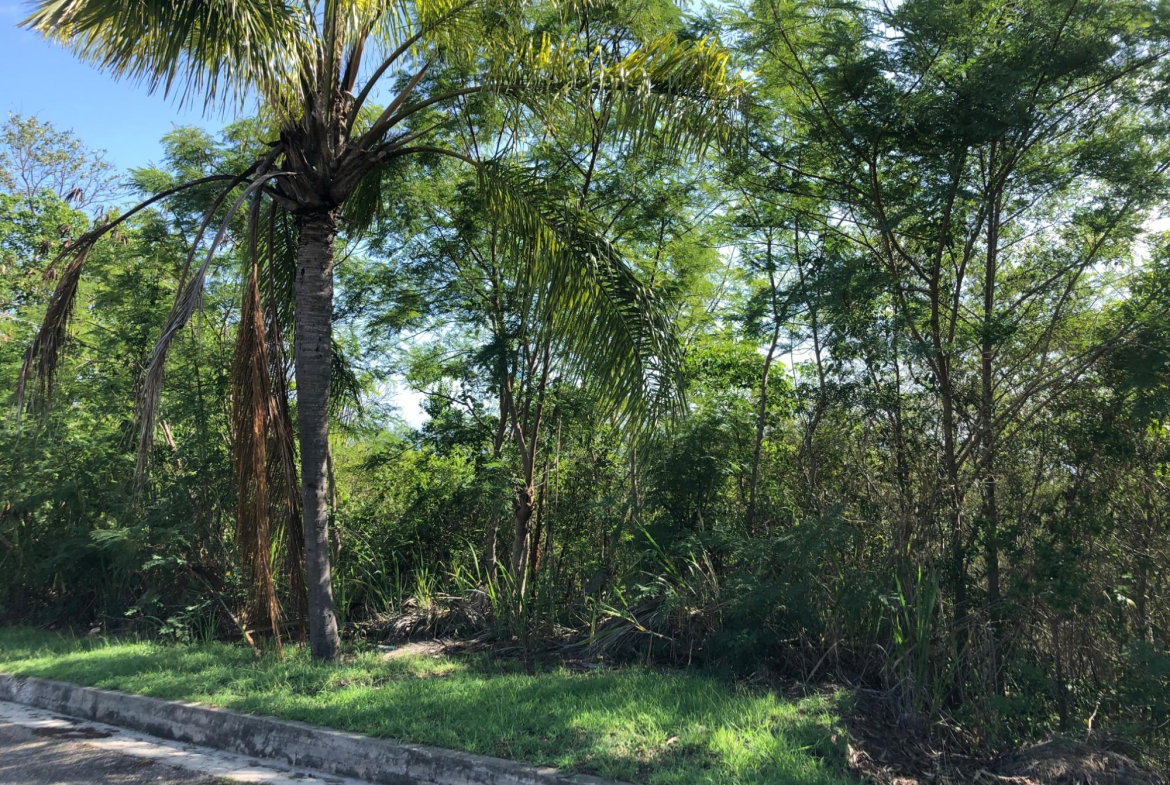 Seventh image of Lot 7- West Indies Estate in Montego Bay, St. James, Jamaica - property is For Sale