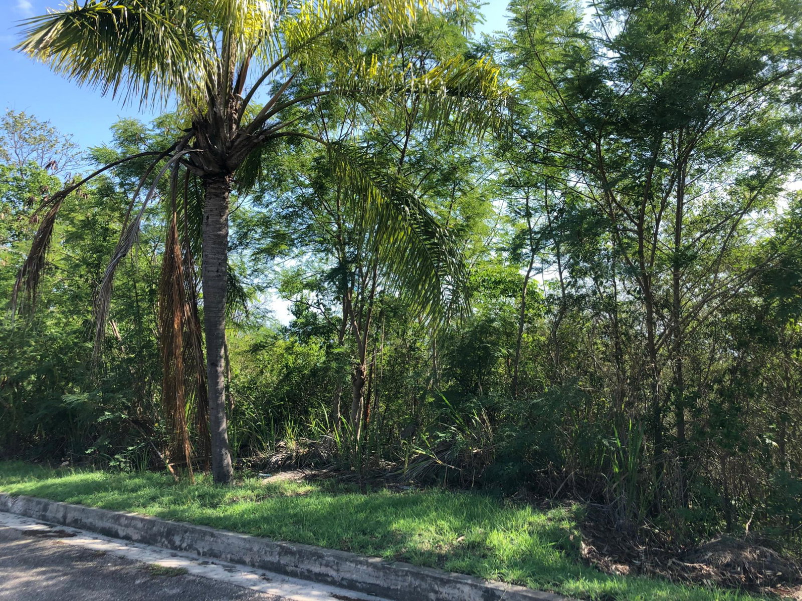 Exclusive-Residential-Lot-for-Sale-in-West-Indies-Estate-Jamaica Seventh image of Lot 7- West Indies Estate in Montego Bay, St. James, Jamaica - property is For Sale