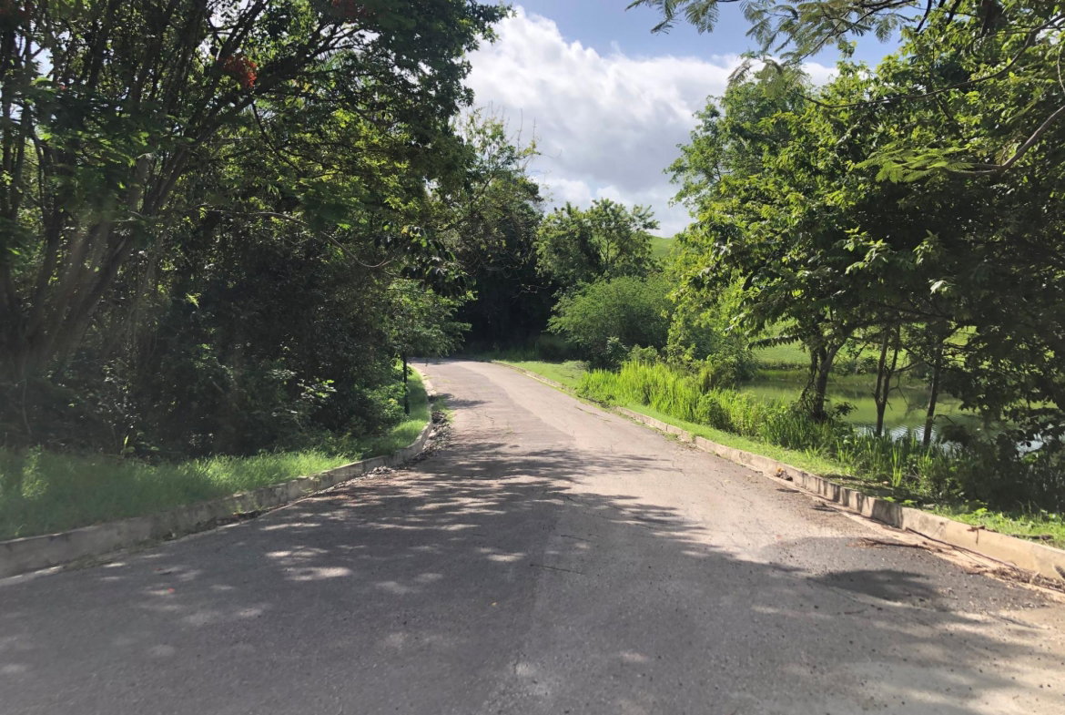 Ninth image of Lot 7- West Indies Estate in Montego Bay, St. James, Jamaica - property is For Sale
