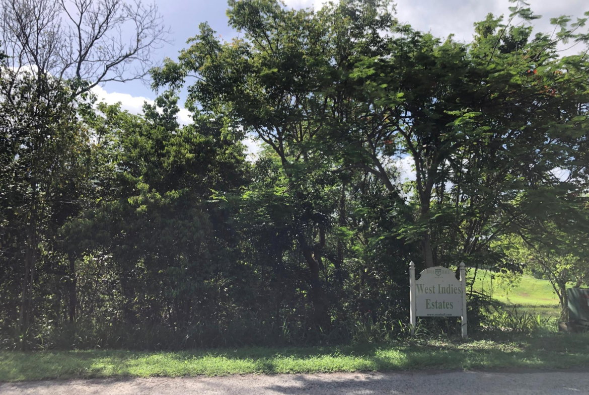 Tenth image of Lot 7- West Indies Estate in Montego Bay, St. James, Jamaica - property is For Sale