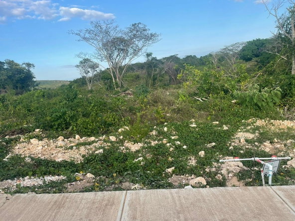 Fourteenth image of 9 Greenpark Subdivision in Falmouth, Trelawny, Jamaica - property is For Sale