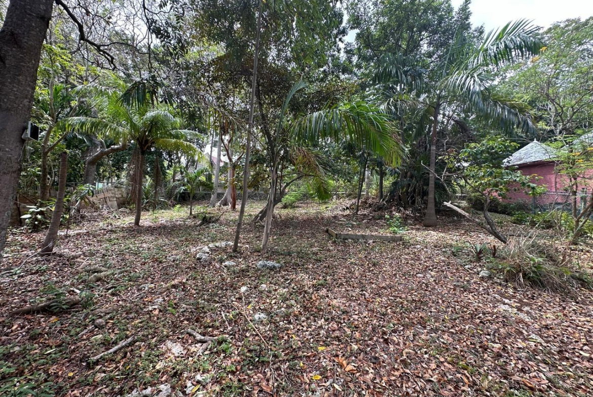 Nineteenth image of 6- Hermosa Lane in Ocho Rios, St. Ann, Jamaica - property is For Sale