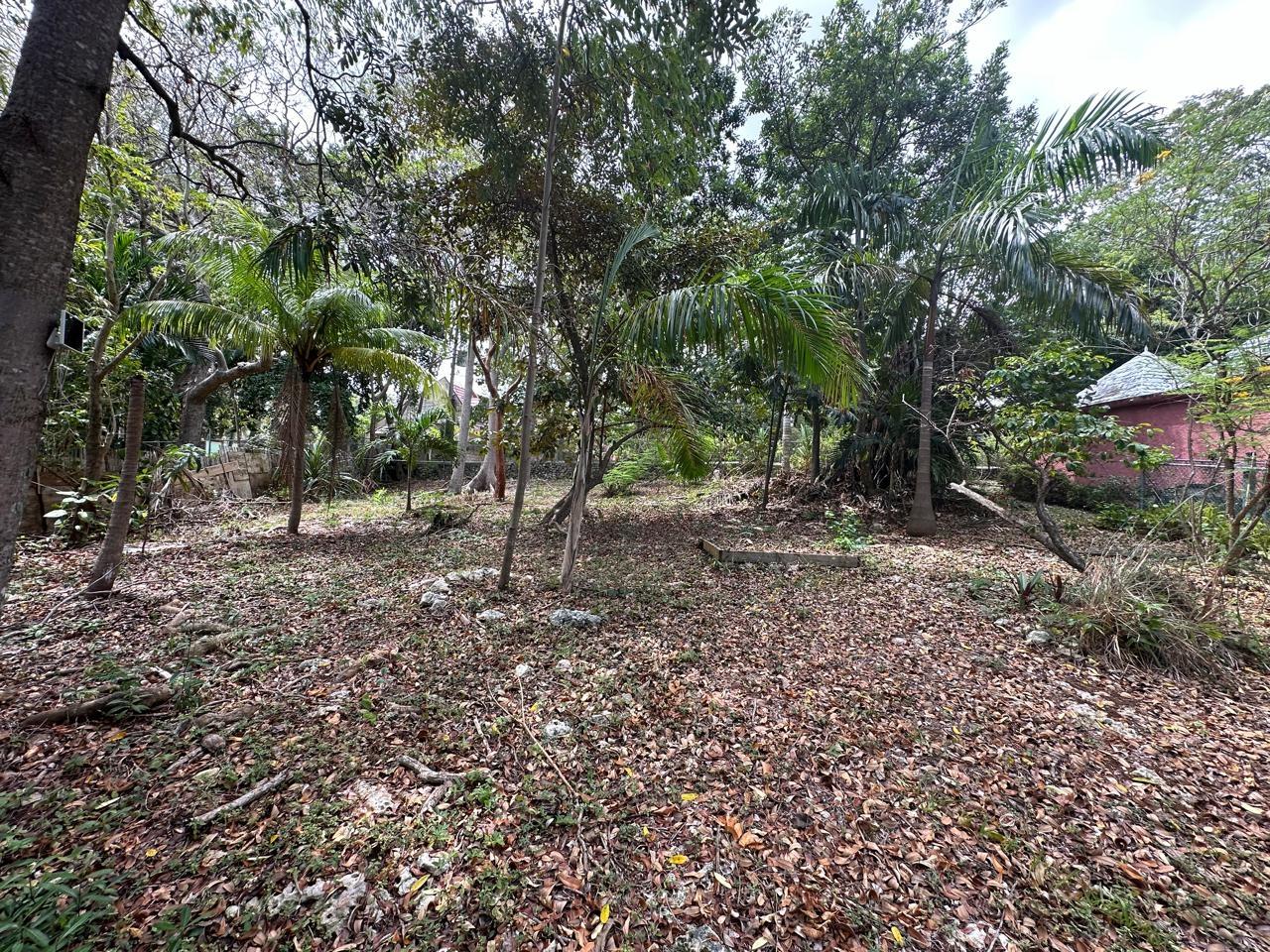 Exclusive-Villa-for-Sale-in-Ocho-Rios-Jamaica-Stunning-Sea-Views Nineteenth image of 6- Hermosa Lane in Ocho Rios, St. Ann, Jamaica - property is For Sale