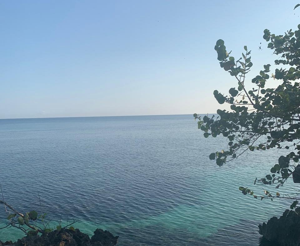 Fifth image of 6- Hermosa Lane in Ocho Rios, St. Ann, Jamaica - property is For Sale