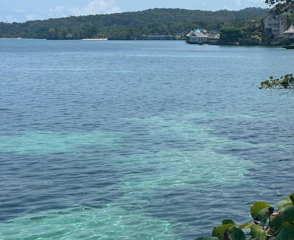 Sixth image of 6- Hermosa Lane in Ocho Rios, St. Ann, Jamaica - property is For Sale