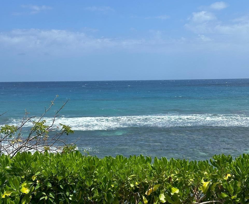 Ninth image of 6- Hermosa Lane in Ocho Rios, St. Ann, Jamaica - property is For Sale