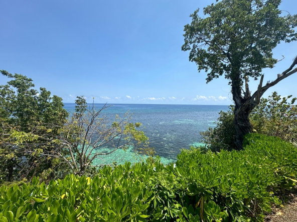 Tenth image of 6- Hermosa Lane in Ocho Rios, St. Ann, Jamaica - property is For Sale