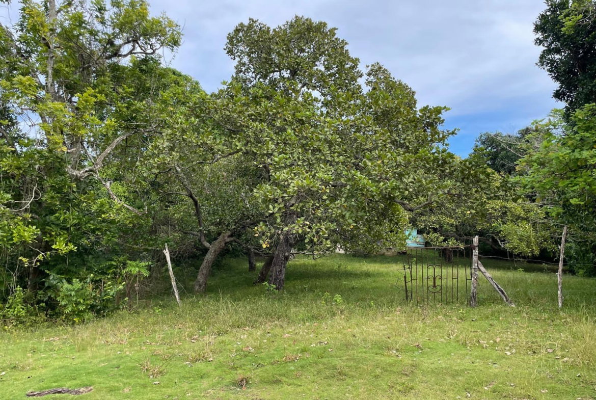 Second image of Shrewsbury in Brompton, St. Elizabeth, Jamaica - property is For Sale