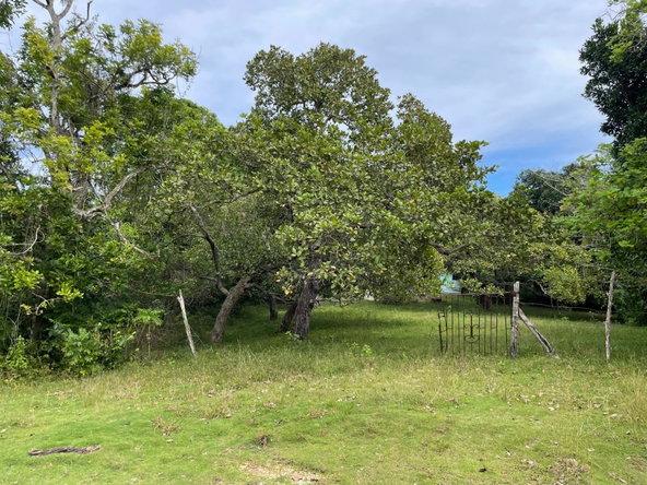 Second image of Shrewsbury in Brompton, St. Elizabeth, Jamaica - property is For Sale