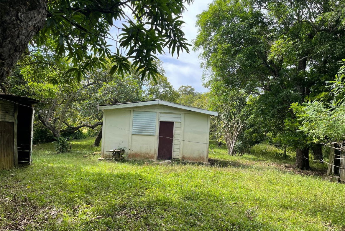 Fifth image of Shrewsbury in Brompton, St. Elizabeth, Jamaica - property is For Sale