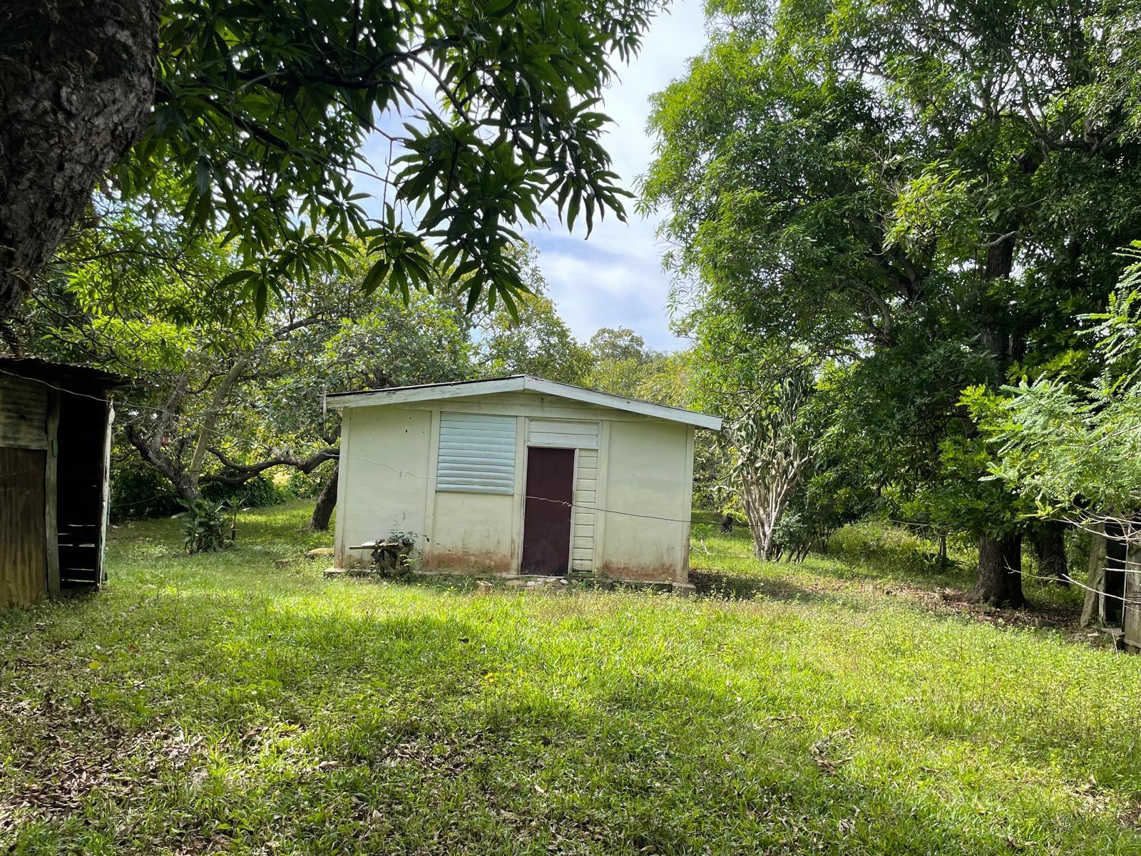 Fifth image of Shrewsbury in Brompton, St. Elizabeth, Jamaica - property is For Sale