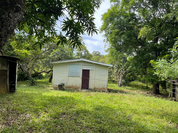 Fifth image of Shrewsbury in Brompton, St. Elizabeth, Jamaica - property is For Sale