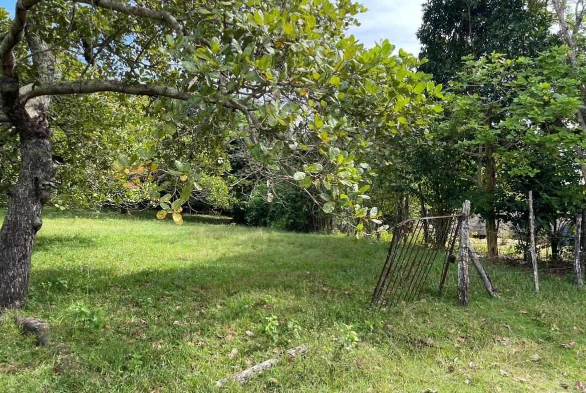 Seventh image of Shrewsbury in Brompton, St. Elizabeth, Jamaica - property is For Sale