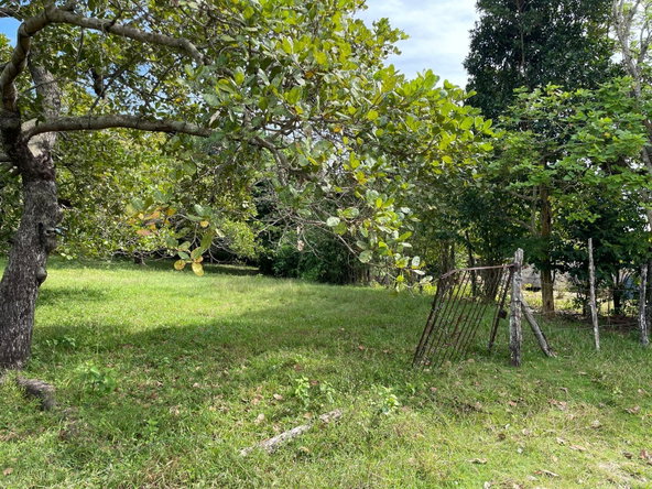 Seventh image of Shrewsbury in Brompton, St. Elizabeth, Jamaica - property is For Sale