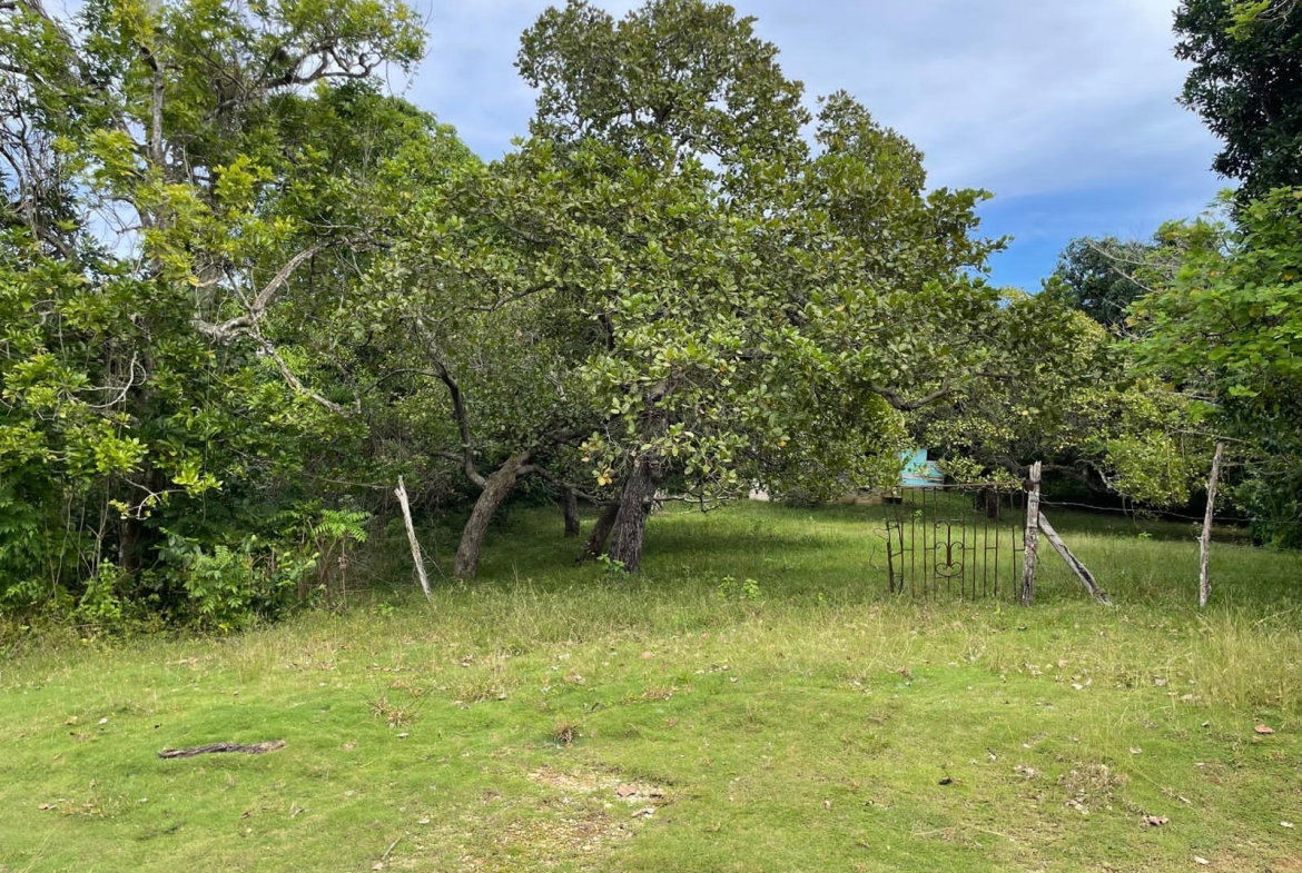 Eighth image of Shrewsbury in Brompton, St. Elizabeth, Jamaica - property is For Sale