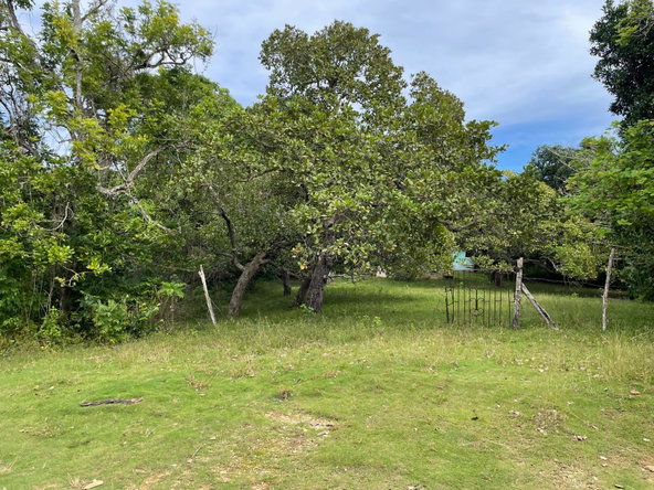 Eighth image of Shrewsbury in Brompton, St. Elizabeth, Jamaica - property is For Sale