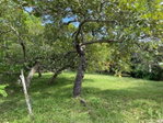 First image of Shrewsbury in Brompton, St. Elizabeth, Jamaica - property is For Sale