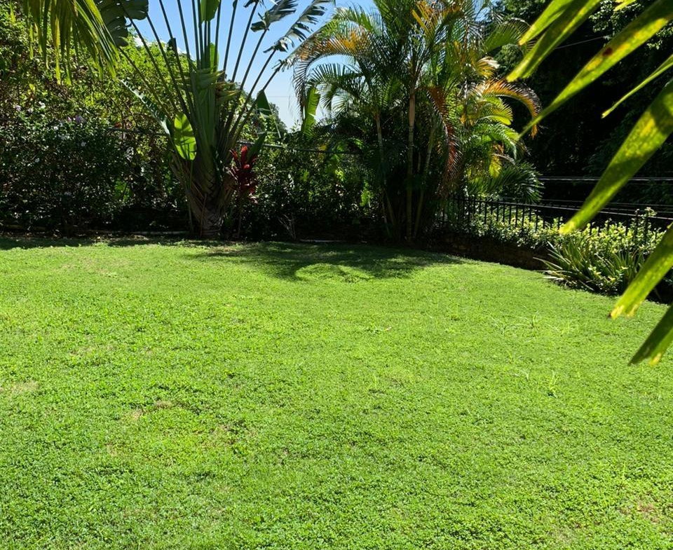 Twenty-Ninth image of 76b Bellevue Drive Kgn 19 in Kingston 19, St. Andrew, Jamaica - property is For Sale