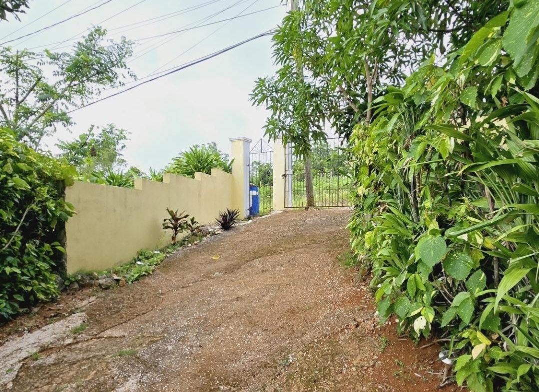 Twenty-Third image of John Brown Street, Land s in Mandeville, Manchester, Jamaica - property is For Sale