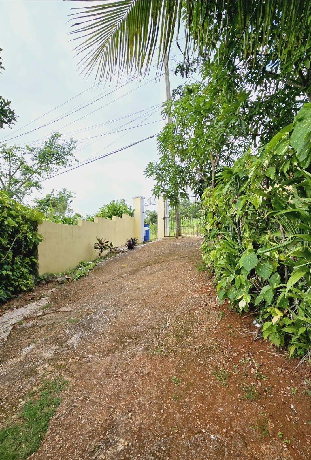 Twenty-Third image of John Brown Street, Land s in Mandeville, Manchester, Jamaica - property is For Sale
