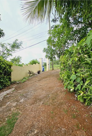 Twenty-Third image of John Brown Street, Land s in Mandeville, Manchester, Jamaica - property is For Sale
