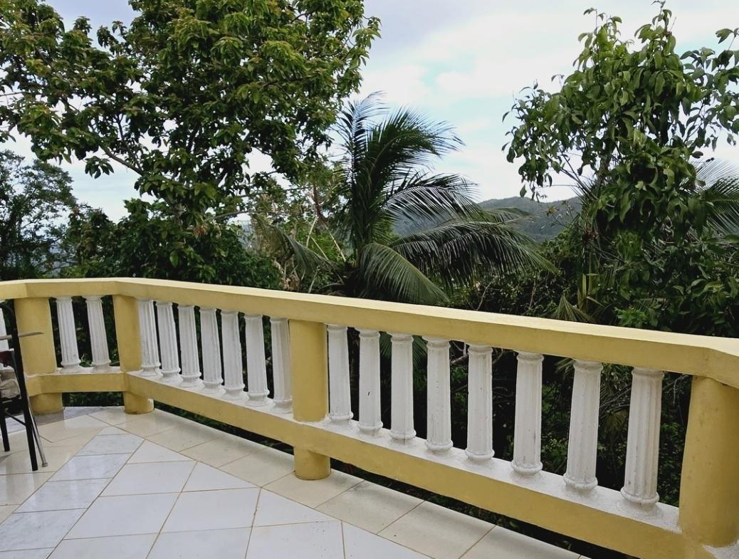 Sixth image of John Brown Street, Land s in Mandeville, Manchester, Jamaica - property is For Sale