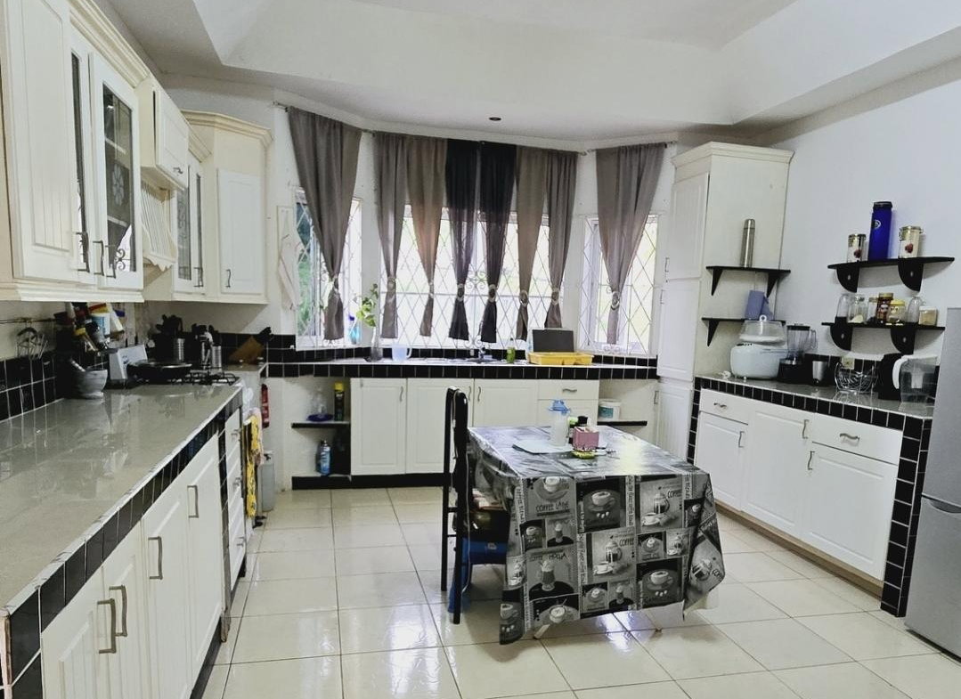 Tenth image of John Brown Street, Land s in Mandeville, Manchester, Jamaica - property is For Sale