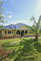 First image of John Brown Street, Land s in Mandeville, Manchester, Jamaica - property is For Sale