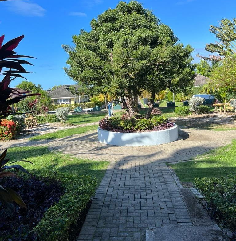 Nineteenth image of Gardenia Avenue, Richmond in Richmond, St. Ann, Jamaica - property is For Rent