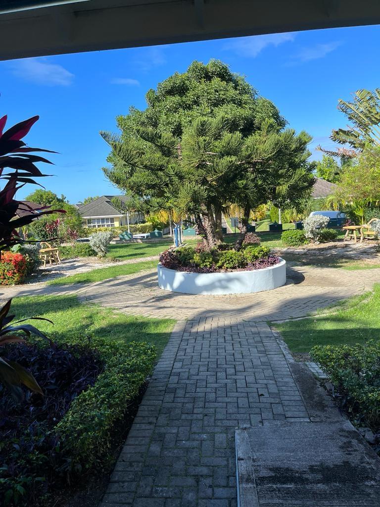 Nineteenth image of Gardenia Avenue, Richmond in Richmond, St. Ann, Jamaica - property is For Rent