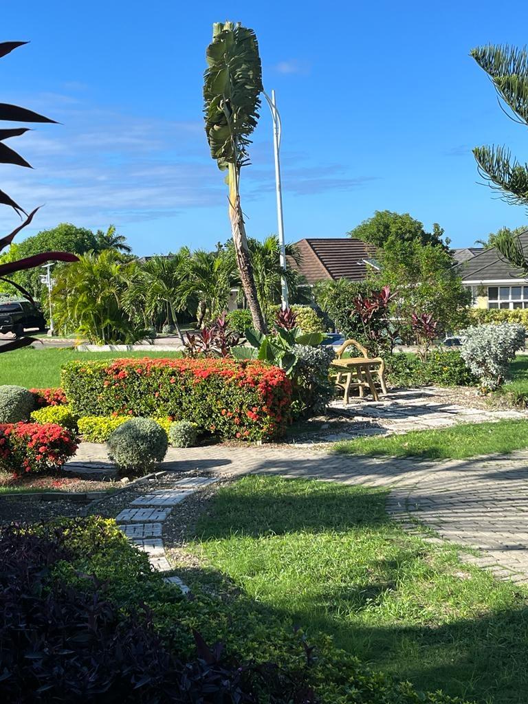 Twentieth image of Gardenia Avenue, Richmond in Richmond, St. Ann, Jamaica - property is For Rent