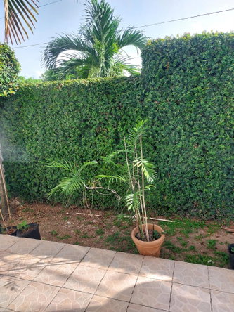 Twenty-Second image of 2-12 Sandhurst Avenue, Kingsto in Kingston 6, St. Andrew, Jamaica - property is For Rent
