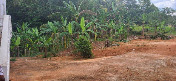 Fifteenth image of Kingsland, Hatfield in Hat Field, Manchester, Jamaica - property is For Sale