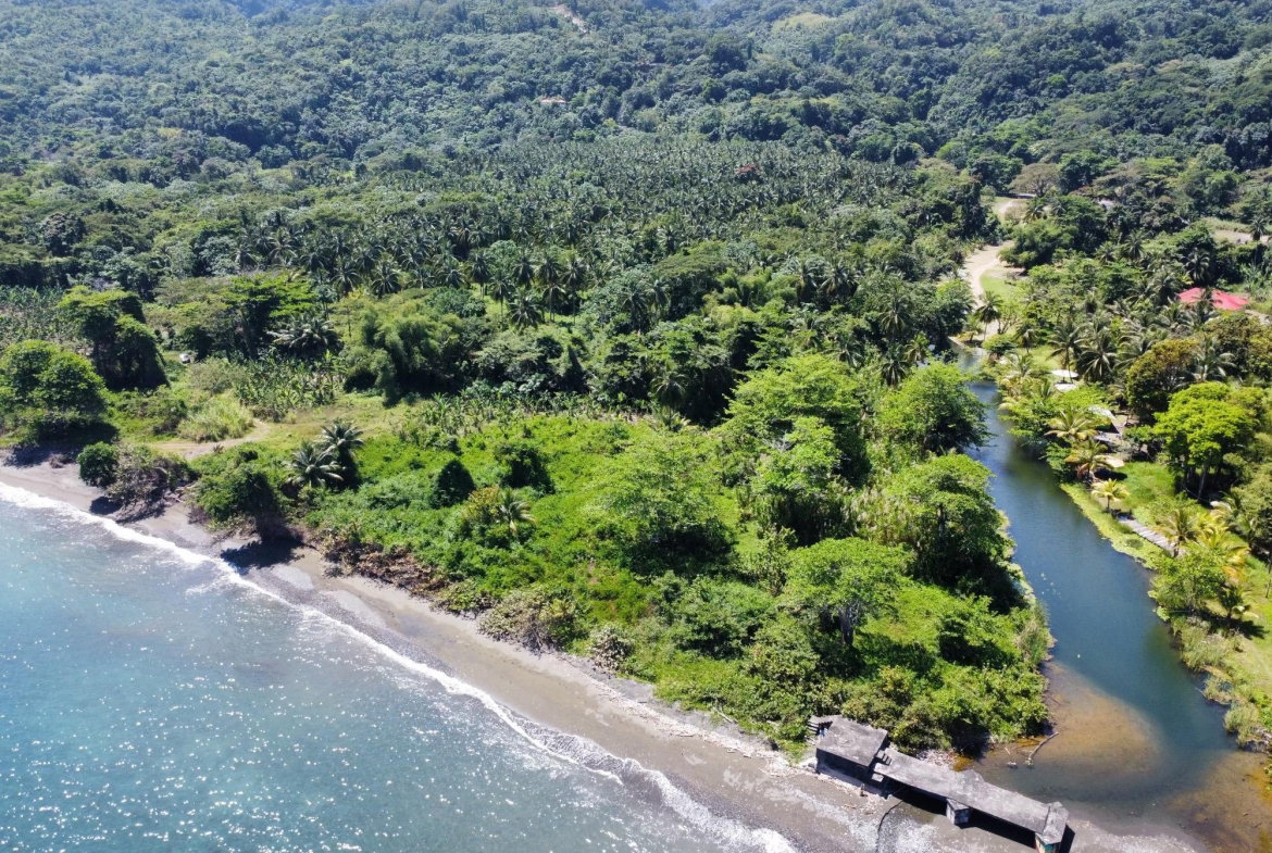 Second image of Hermitage Farm in Hope Bay, Portland, Jamaica - property is For Sale