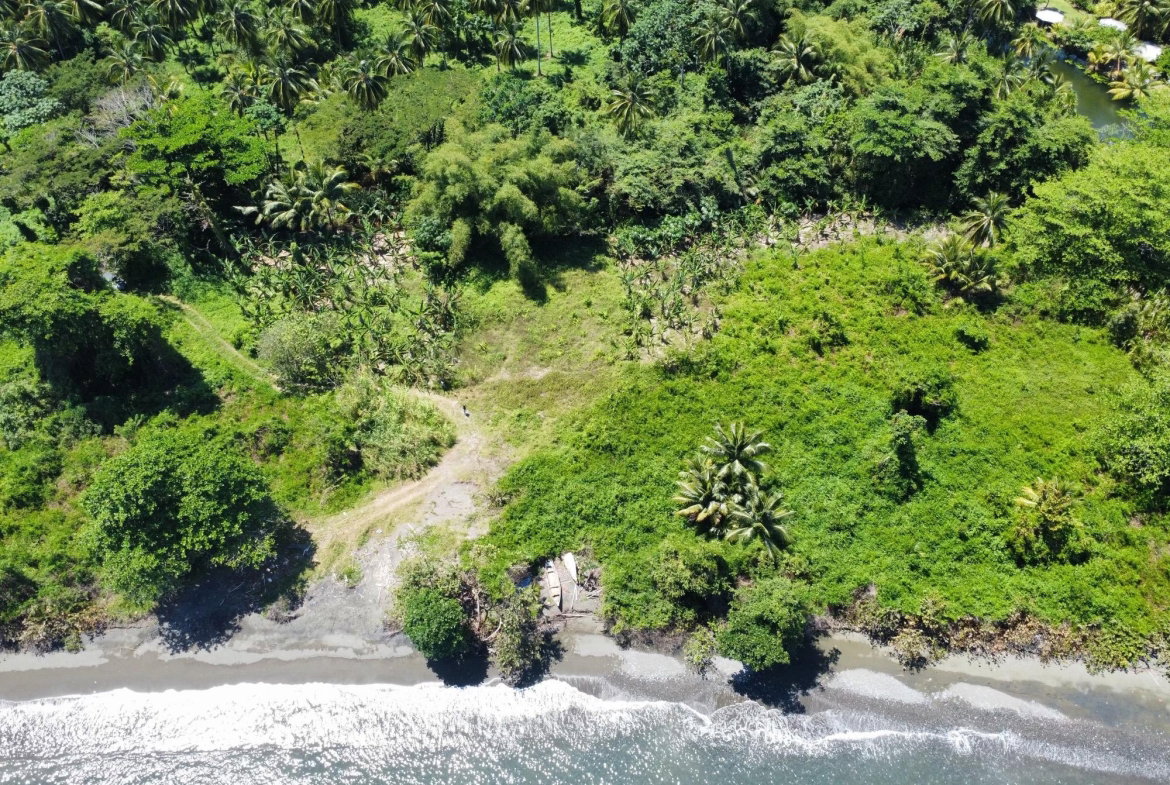 Fourth image of Hermitage Farm in Hope Bay, Portland, Jamaica - property is For Sale