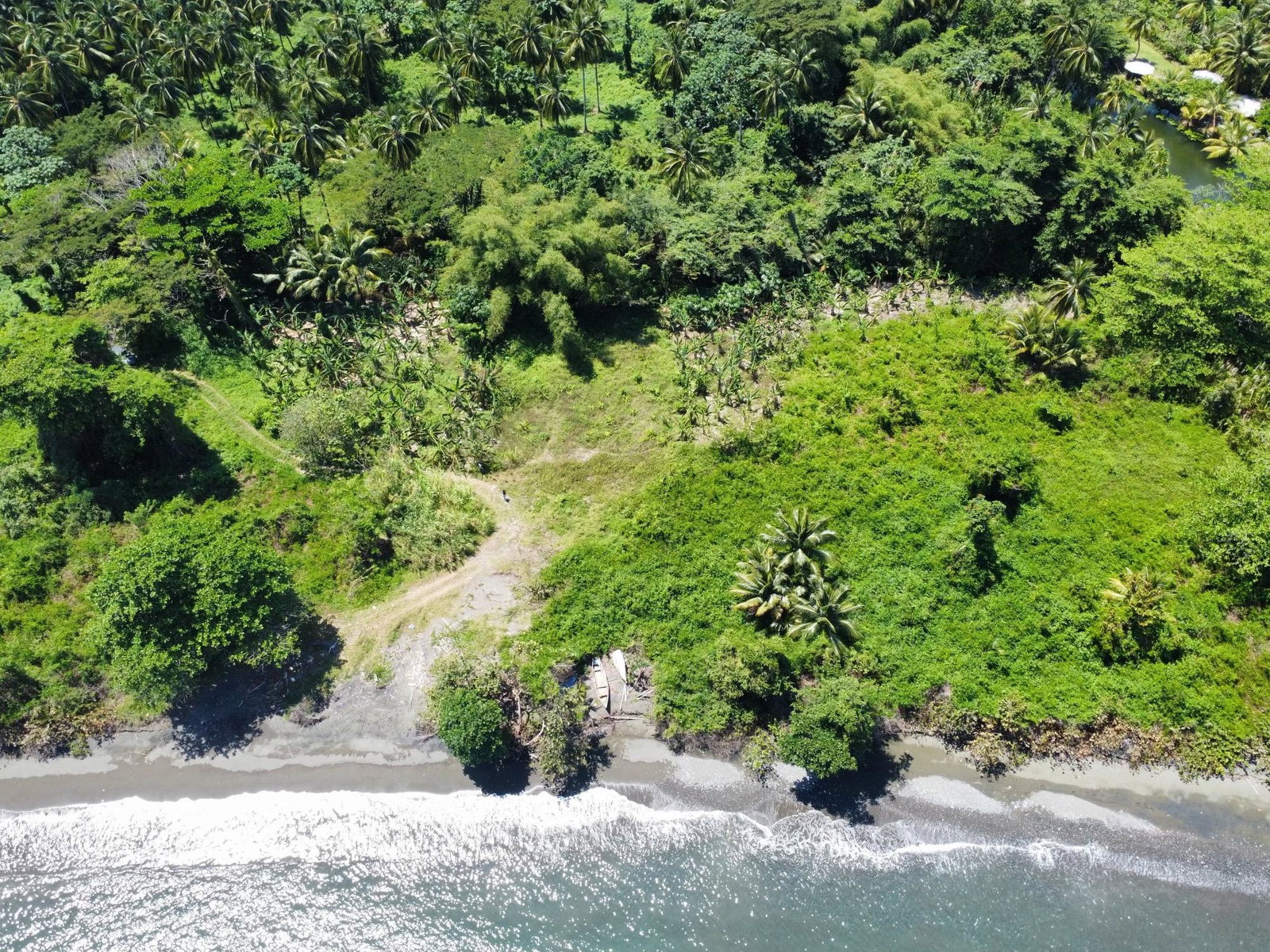 Fourth image of Hermitage Farm in Hope Bay, Portland, Jamaica - property is For Sale