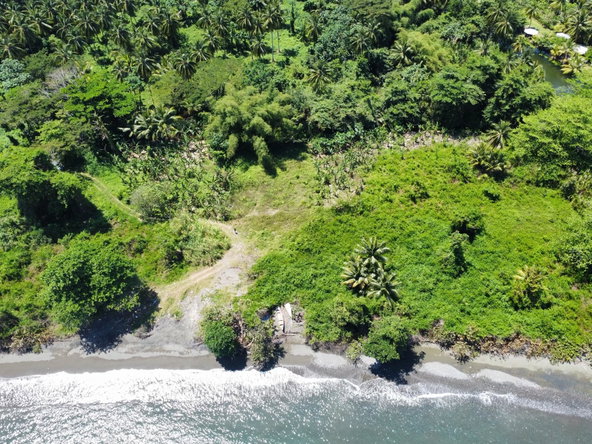 Fourth image of Hermitage Farm in Hope Bay, Portland, Jamaica - property is For Sale