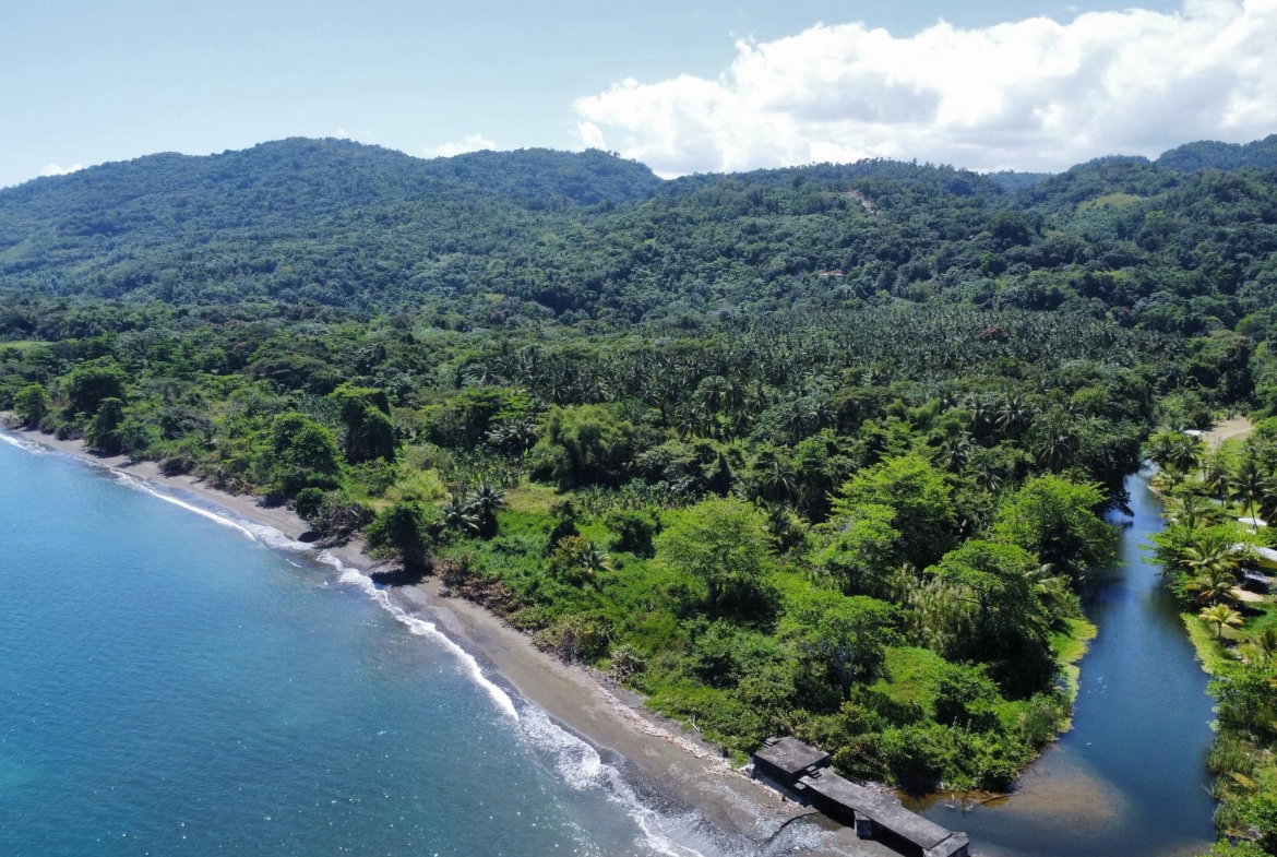 Fifth image of Hermitage Farm in Hope Bay, Portland, Jamaica - property is For Sale