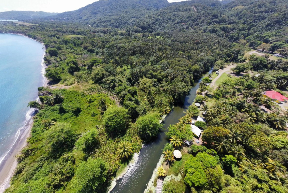 Sixth image of Hermitage Farm in Hope Bay, Portland, Jamaica - property is For Sale
