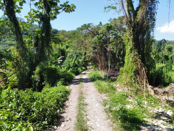 Seventh image of Hermitage Farm in Hope Bay, Portland, Jamaica - property is For Sale