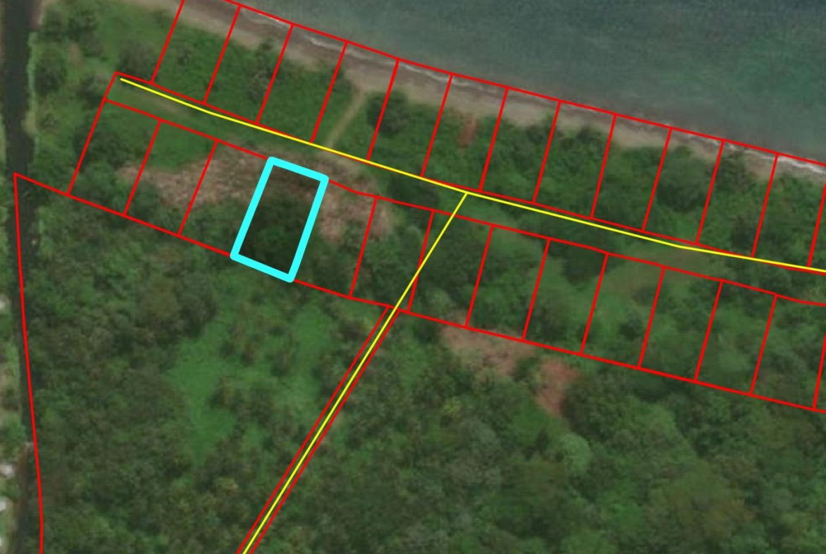 Eighth image of Hermitage Farm in Hope Bay, Portland, Jamaica - property is For Sale