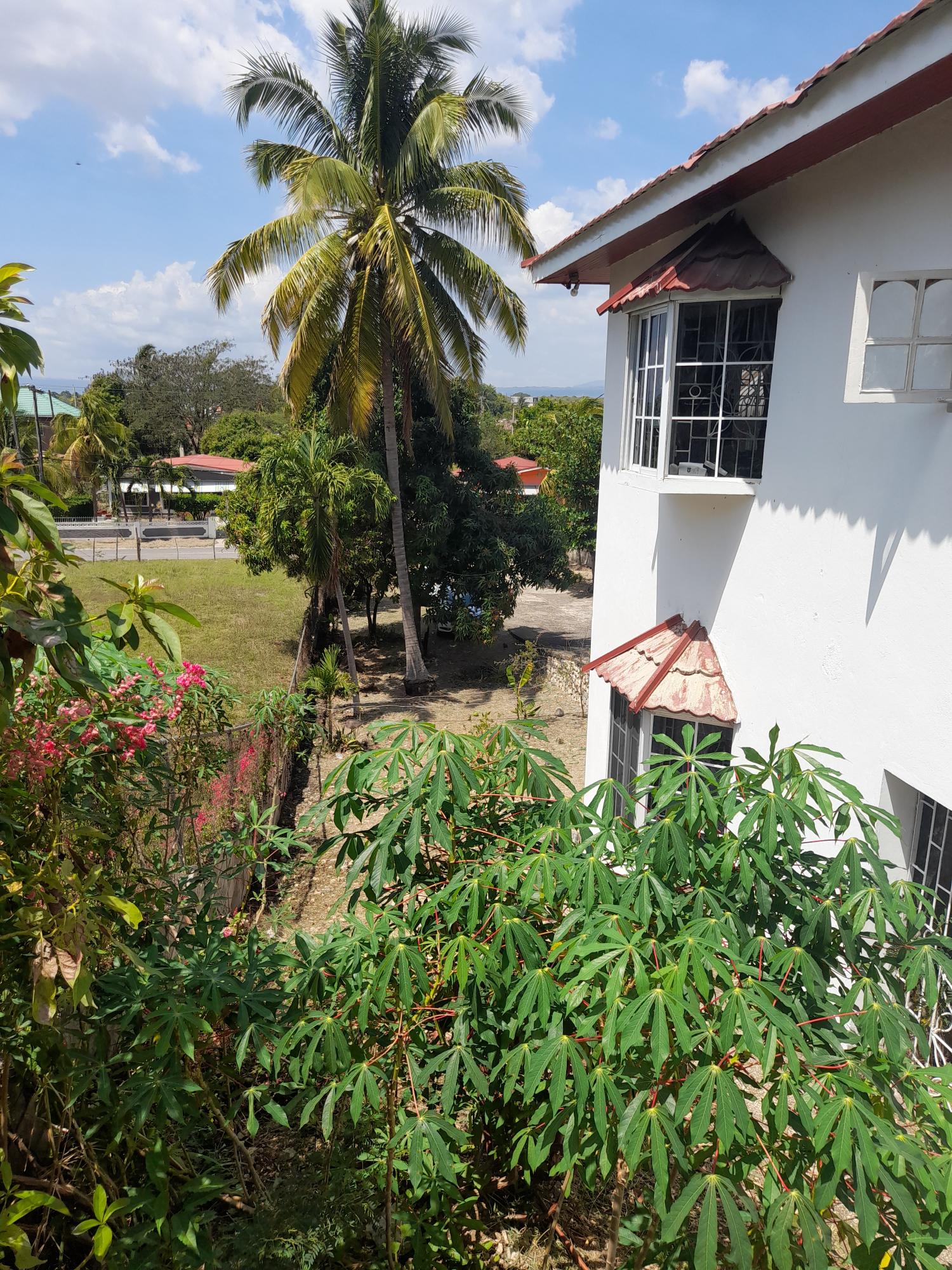 Exquisite-Home-for-Sale-in-Palmers-Cross-Clarendon-5-Bedrooms-Fruit-Trees Sixteenth image of 1a Chateau rd in Palmers Cross, Clarendon, Jamaica - property is For Sale