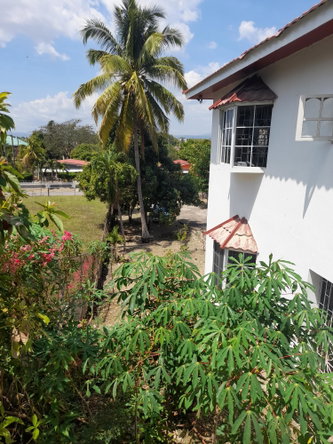 Sixteenth image of 1a Chateau rd in Palmers Cross, Clarendon, Jamaica - property is For Sale