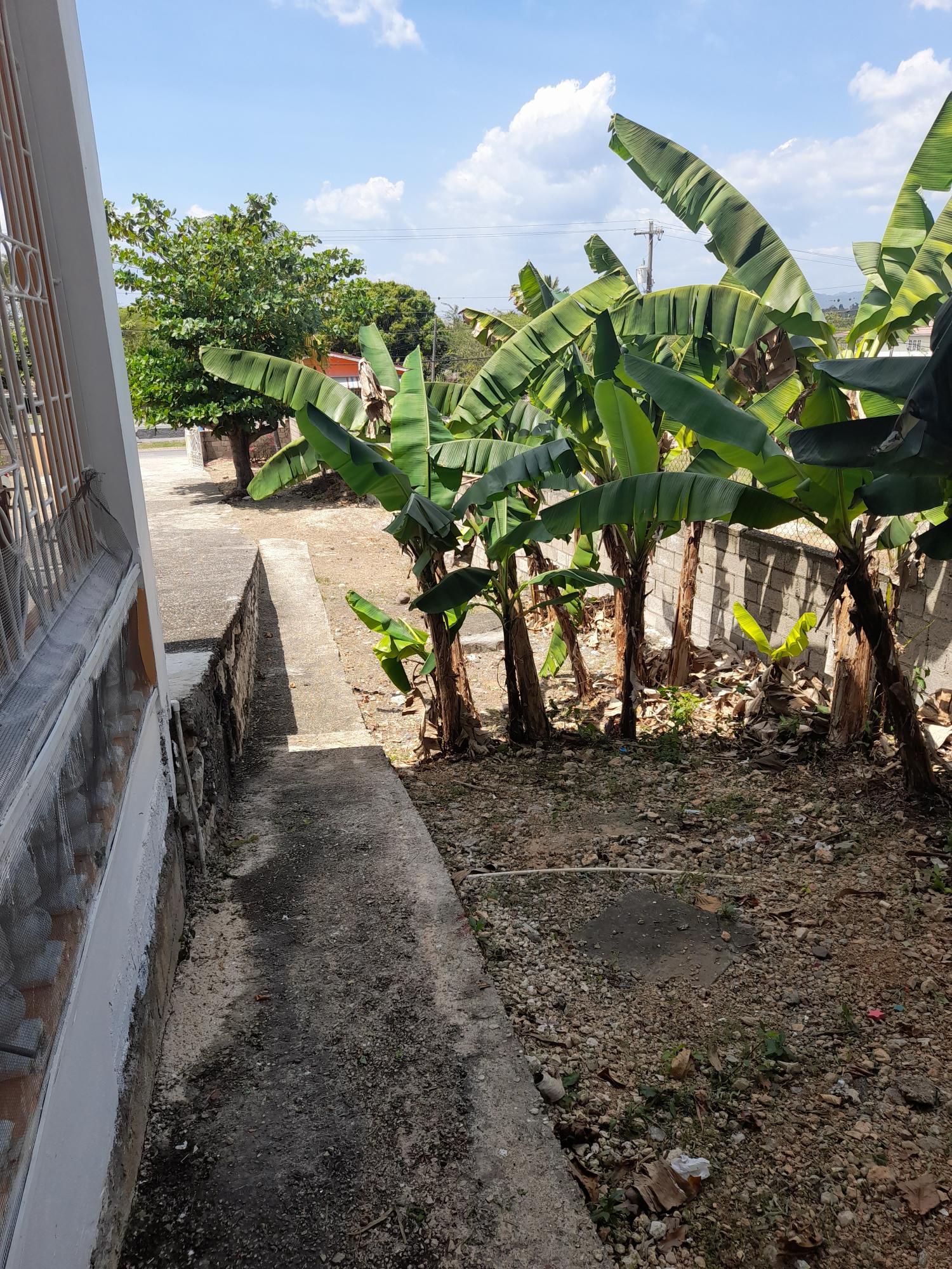 Exquisite-Home-for-Sale-in-Palmers-Cross-Clarendon-5-Bedrooms-Fruit-Trees Tenth image of 1a Chateau rd in Palmers Cross, Clarendon, Jamaica - property is For Sale
