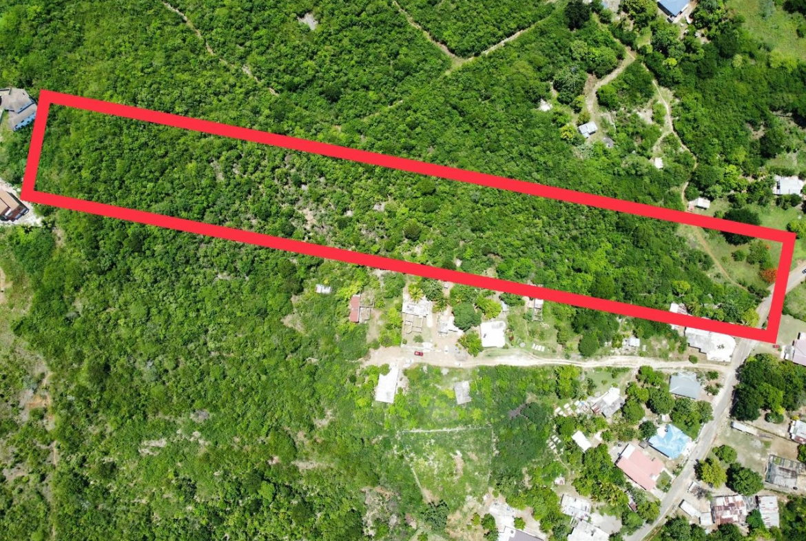 Second image of Palmetto Pen in Palmers Cross, Clarendon, Jamaica - property is For Sale